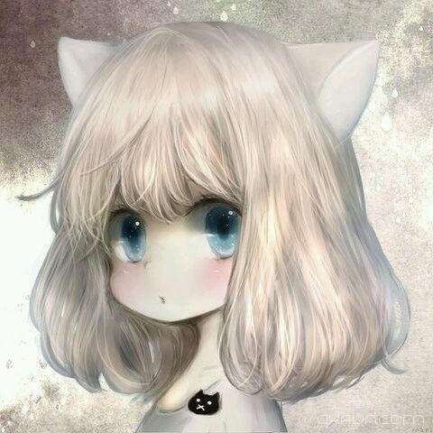 喵咪妹纸。