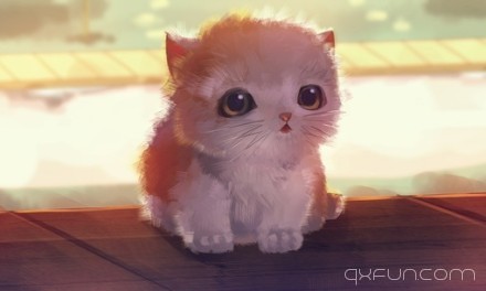 萌喵