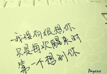 我没有很想你，只是每次醒来时，第一个想到你。