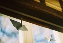 我对你的好，并不要你全都知晓 -清新范(Qxfun.com)