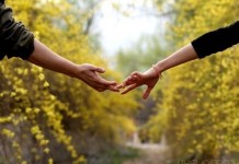 道声别离，陌路各异不相逢 - 清新范(Qxfun.com)