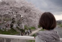 世界上最勇敢的事情，是微笑着听你说你和她的爱情 - 清新范(Qxfun.com)