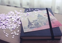 我对你的好，并不要你全都知晓 - 清新范(Qxfun.com)