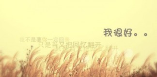 若是爱已不可为你明白，说吧无所谓。不必给我安慰，何必怕我伤悲，就当我从此收起真情谁也不给。