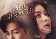 [泰剧][吹落的树叶.ใบไม้ที่ปลิดปลิว.bai mai tee plid plew][2019][泰语简中][全1-20集]720P下载